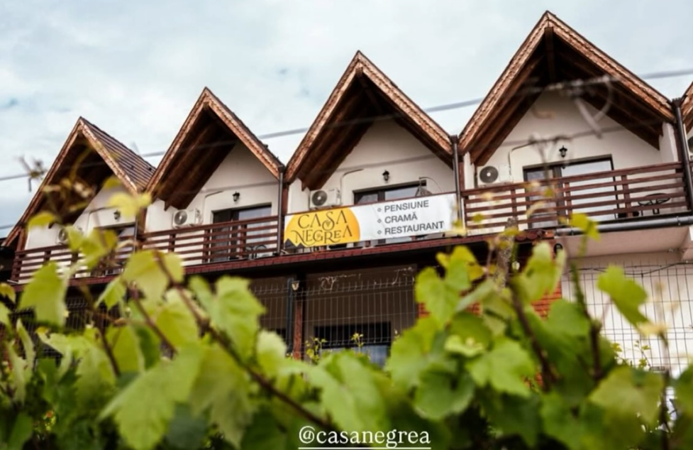 Pensiunea Casa Negrea
