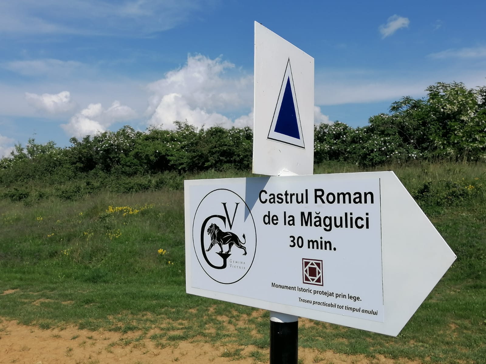 Castrul roman de la Magulici
